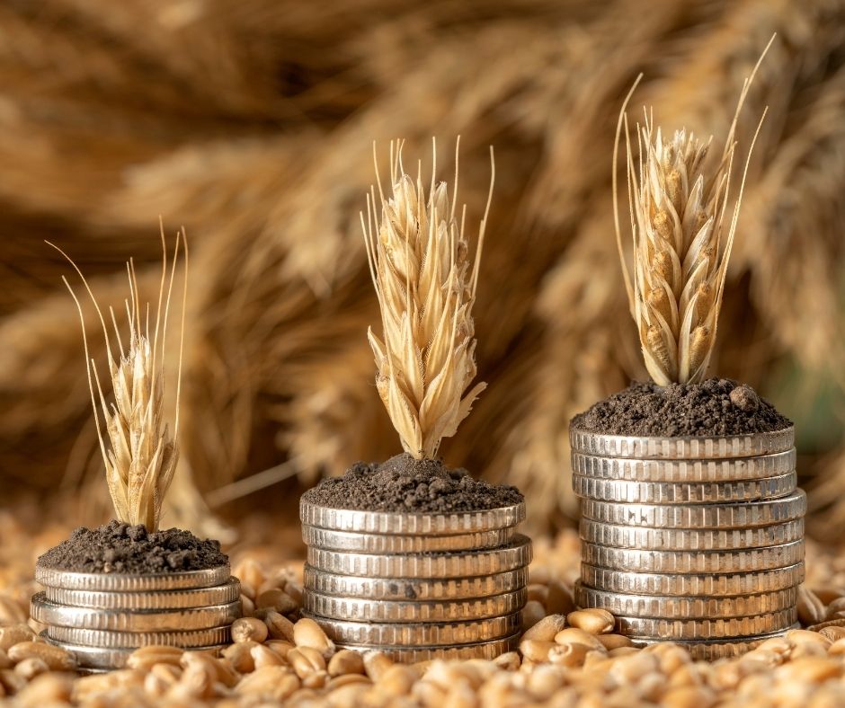 PK Consulting Group 3 AGRODIATROFI